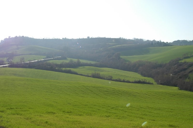 BIBBONA CAMPAGNA